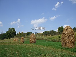 農(nóng)田,草堆,農(nóng)村