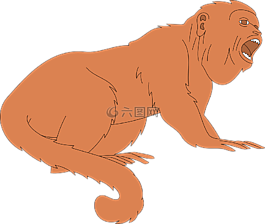 猴子,口,開放