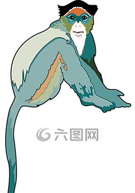猴子,顏色,坐