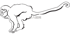 猴子,動物,尾巴