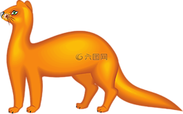 查看,橙色,側(cè)