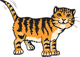 猫,条纹,虎