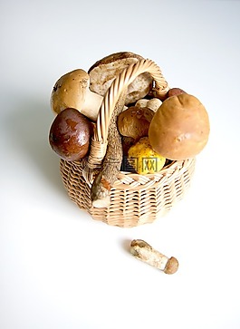 蘑菇,靜物,食品
