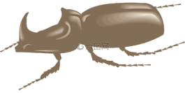 棕色,查看,側(cè)