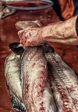 海鮮,化學(xué)需氧量,魚(yú)