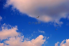 天空,覆蓋,云