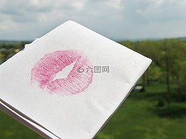 吻,口红,粉红色
