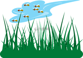 草,綠色,花園