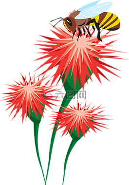 蜜蜂,鮮花,授粉