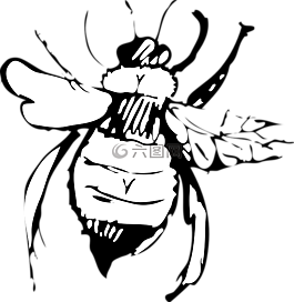 返回頁首,查看,蜜蜂