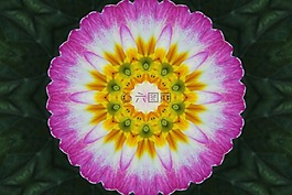 背景,抽象,紋理