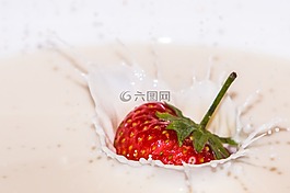 草莓,吃,性質(zhì)