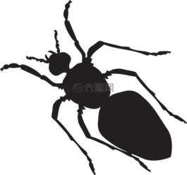 黑,側(cè)影,螞蟻