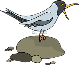 鷗,海鷗,鳥