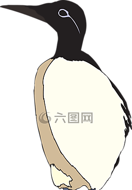 鳥(niǎo),翅膀,尋找