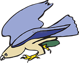 鳥(niǎo),飛行,翅膀