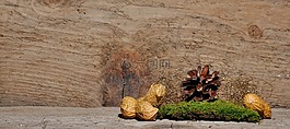 tannnenzapfen,圣誕節(jié),自來水
