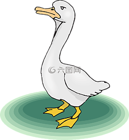 鵝,鳥,水禽