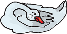 鵝,鳥(niǎo),尋找