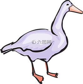 鳥,風(fēng)格,翅膀