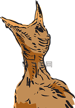 嬰兒,開放,口