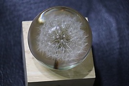 珠,晶,饰品