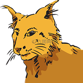 貓,寵物,動物