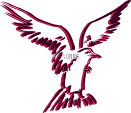 鳥,飛行,風(fēng)格