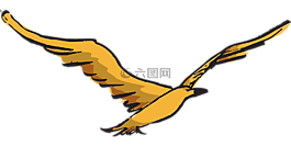 黃色,鳥,飛行