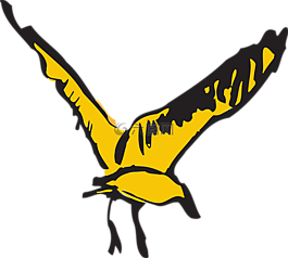 鳥(niǎo),飛行,黃色