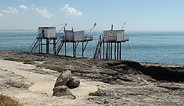 捕魚(yú),河口,海岸線