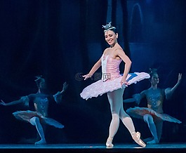 芭蕾舞團,芭蕾舞女演員,性能
