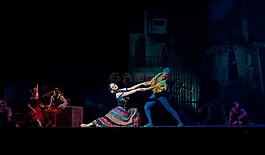 芭蕾舞團(tuán),芭蕾舞女演員,性能