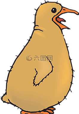 嬰兒,鳥,小雞