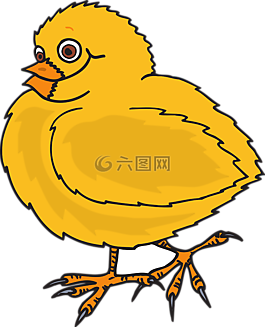 嬰兒,鳥,雞
