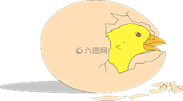 小雞,外殼,孵化