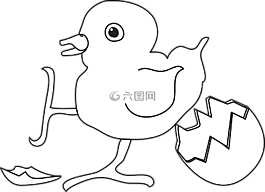 嬰兒,鳥,孵出來了