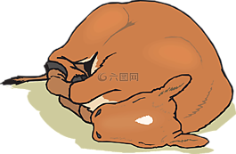 嬰兒,睡眠,農(nóng)場(chǎng)
