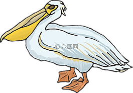 鵜,海鳥,郵袋
