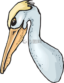 鵜,海鳥,郵袋