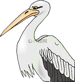 鵜,鳥,灰色