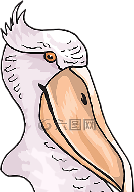 頭,鳥,鵜