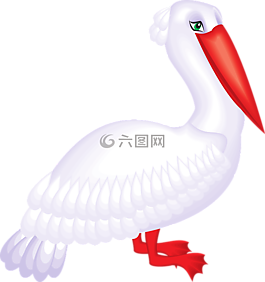 鹈,海鸟,pelecanus erythrorhynchos