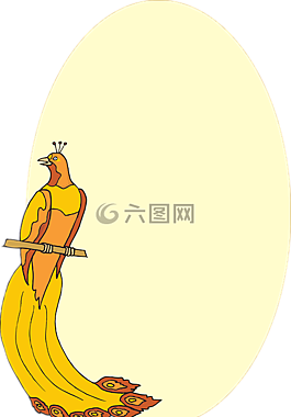 孔雀,pardise鳥,黃孔雀