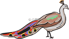 孔雀,鳥,羽毛