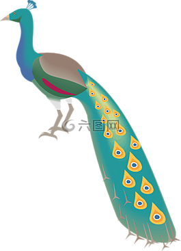 孔雀,鳥,羽毛