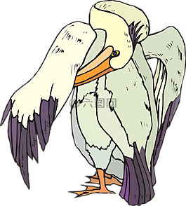 鵜,海鳥,整理