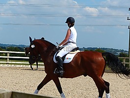 马,horserider,骑马