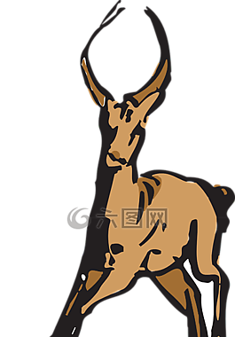 羚羊,動(dòng)物,牛角