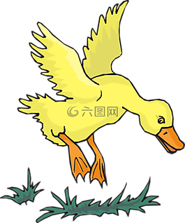 鴨,鳥,飛行